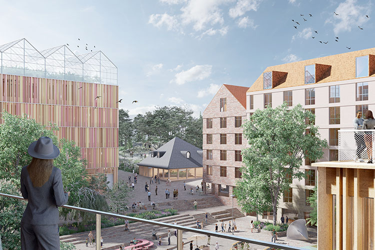 Torget mot parken_White_750px.jpg